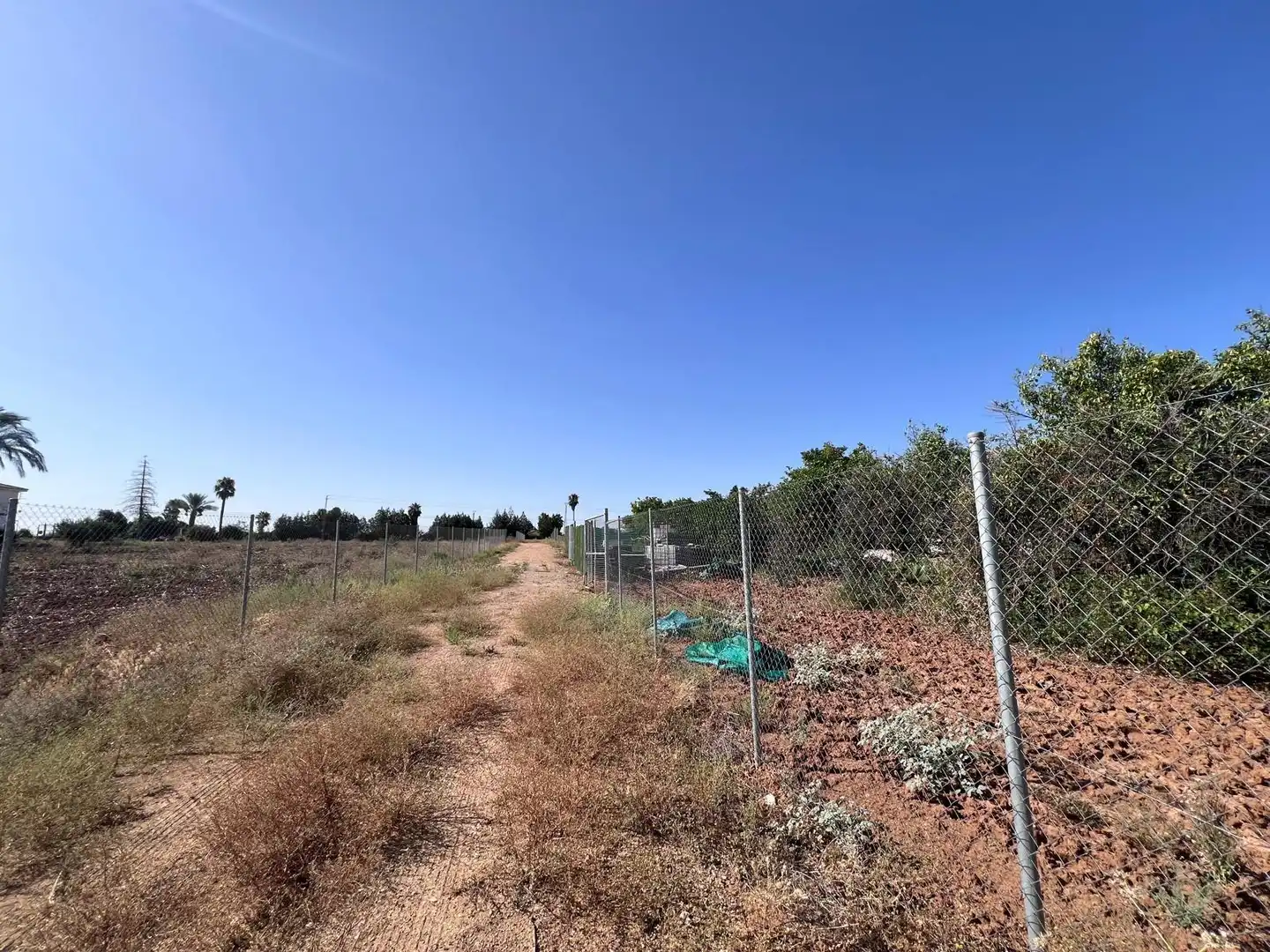 Rural land for sale in Guillena pueblo, imagen 4