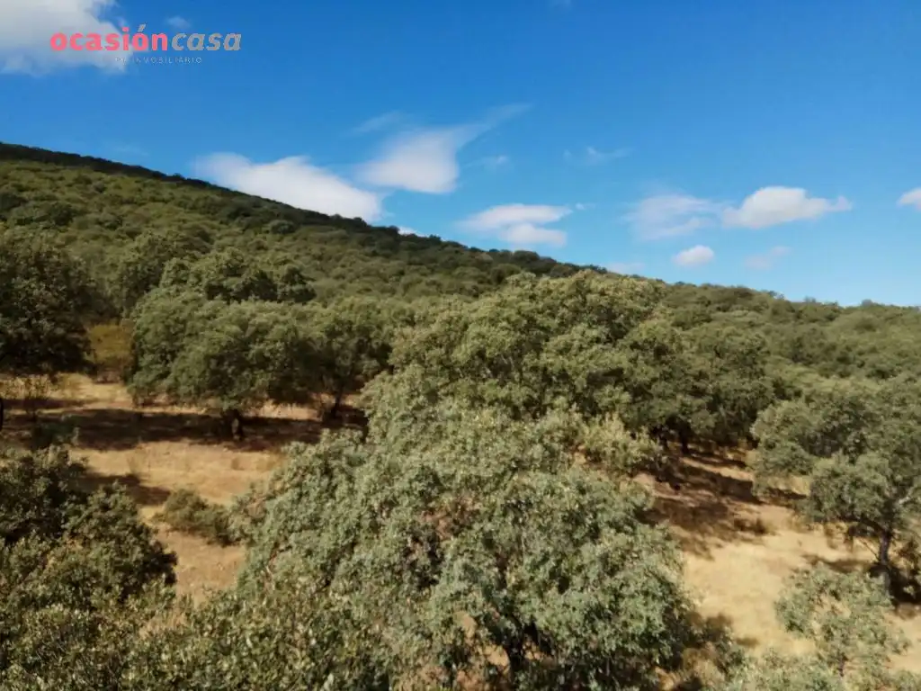 Finca rústica en venta en Villanueva del Duque