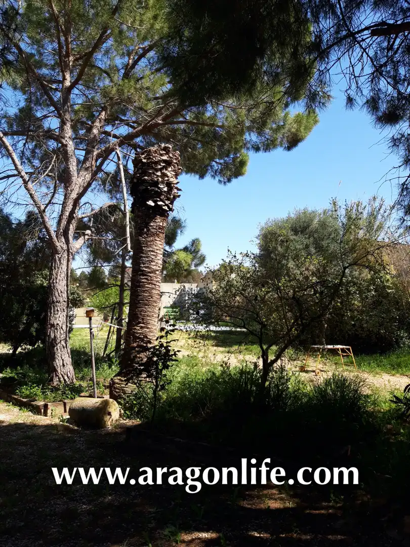 Garden of Houses for sale in Maella  with Heating, Private garden and Terrace