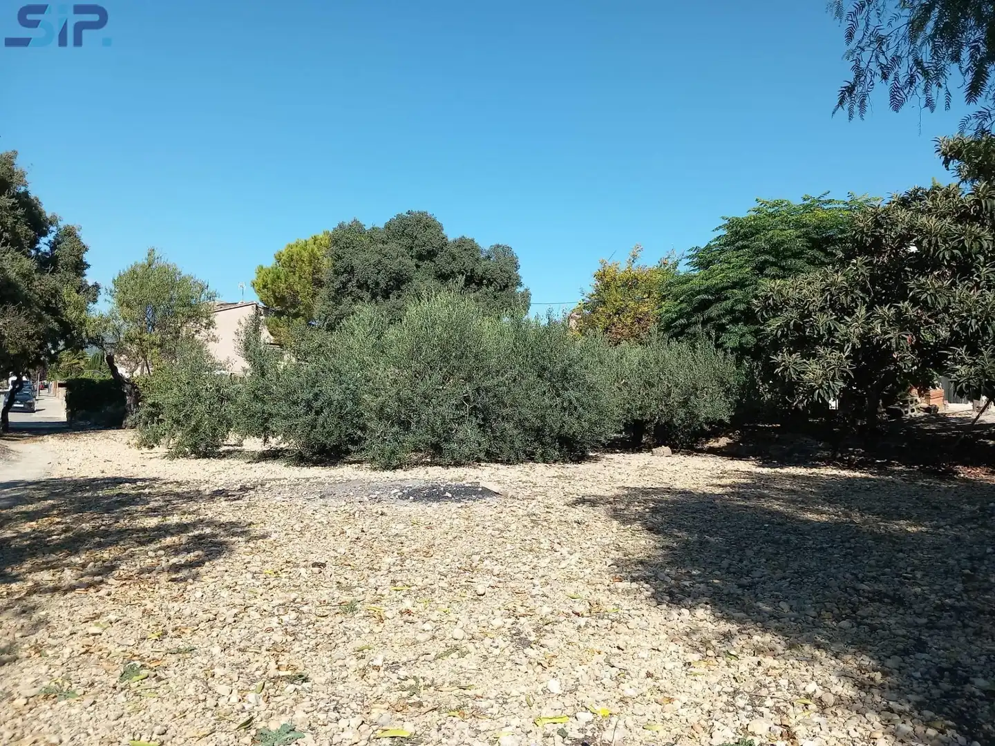 Houses for sale in Sant Martí Sarroca  with Storage room