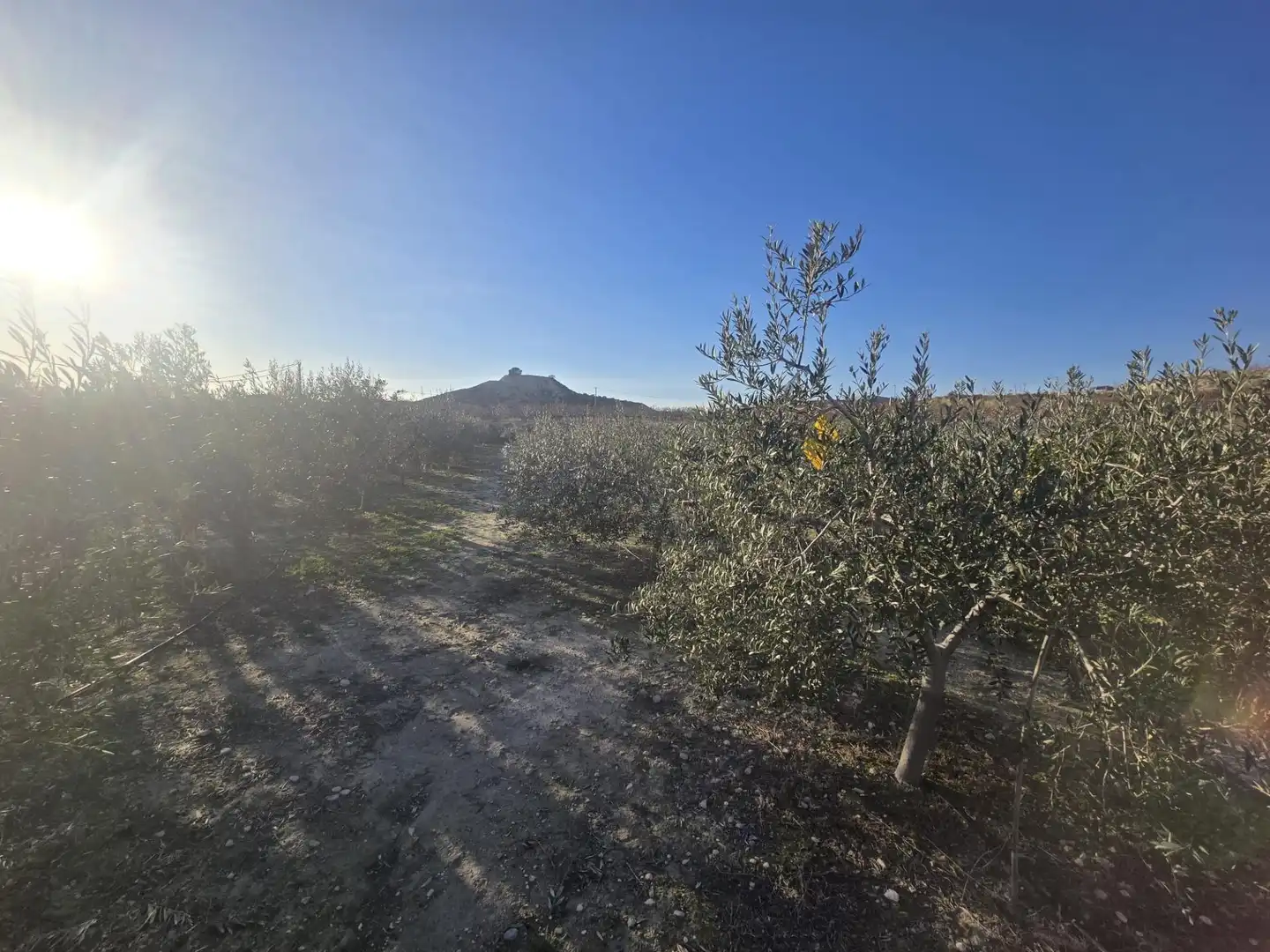 Casa o xalet en venda en Alguazas amb Jardí privat i Piscina comunitària