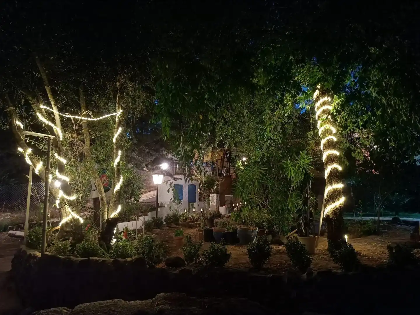 Jardí de Casa o xalet en venda en Piedrabuena amb Aire condicionat, Calefacció i Jardí privat