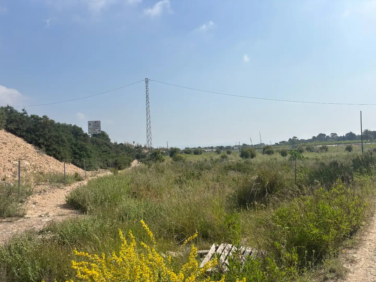 Grundstücke zum Verkauf in Elche / Elx