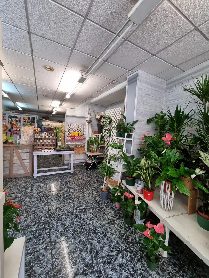Local comercial en venda a Centre - Estació, imagen 2