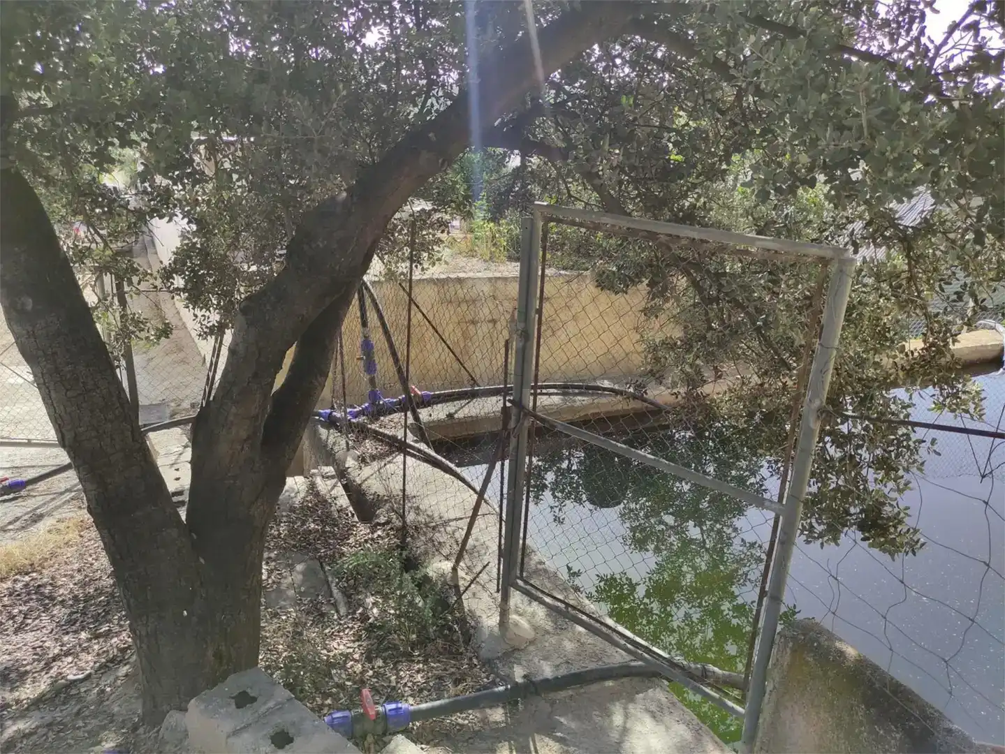 Piscina de Terreno en venta en Caniles