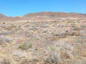 Terreno en Venta en Calle San Antonio, 28 en Tiscamanita