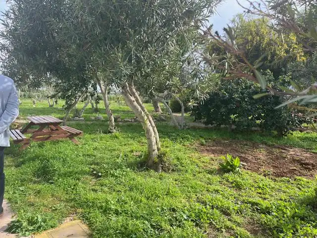 Casa rústica amb piscina en venda a Manacor Centre, imagen 16