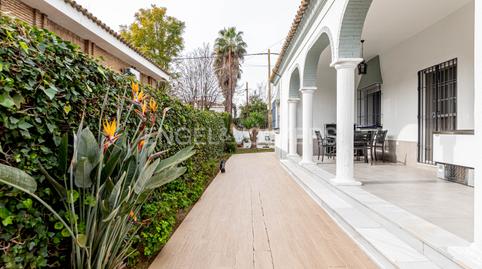 Photo 4 of House or chalet for sale in Santa Clara, Sevilla