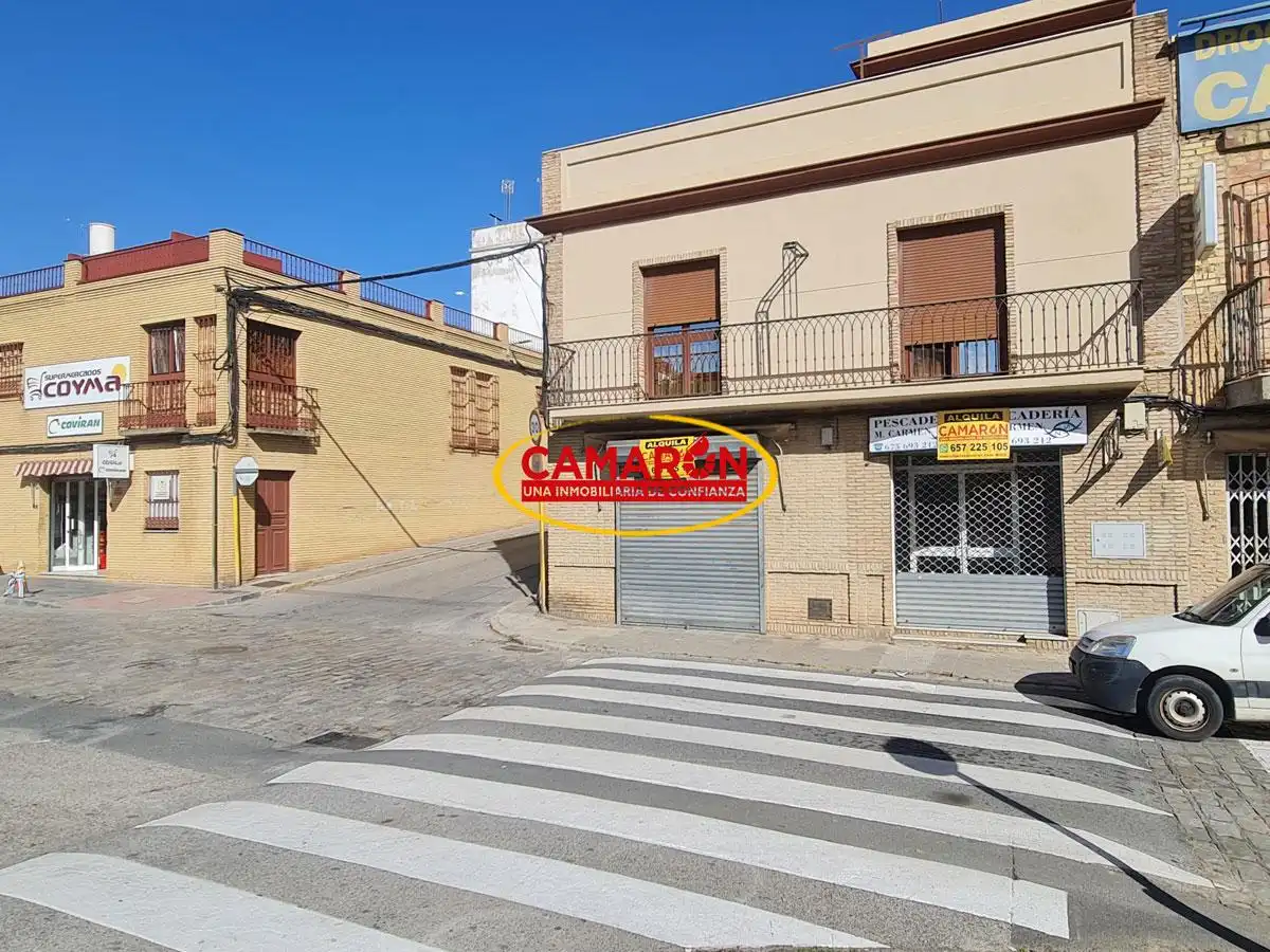 Vista exterior de Local de alquiler en Coria del Río