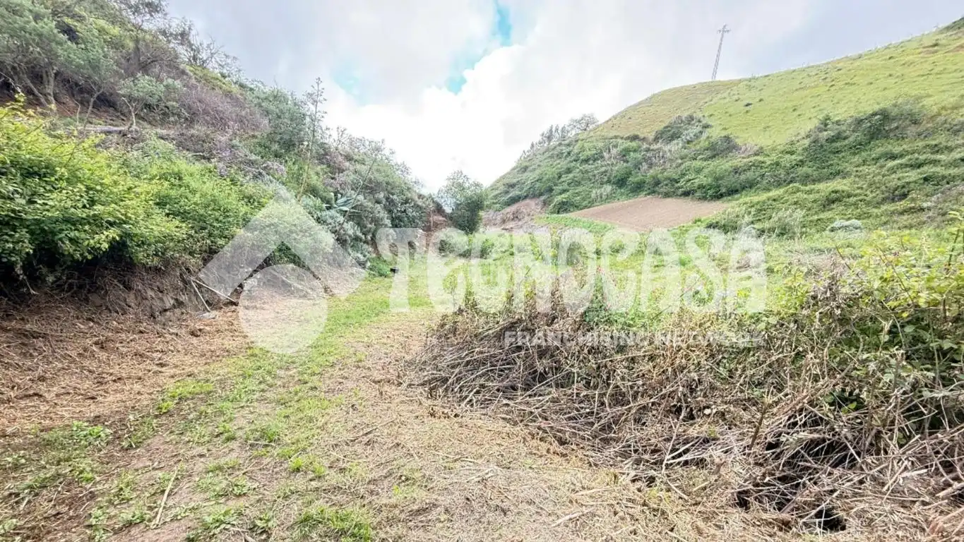 Terreno en venta en Moya (Las Palmas)