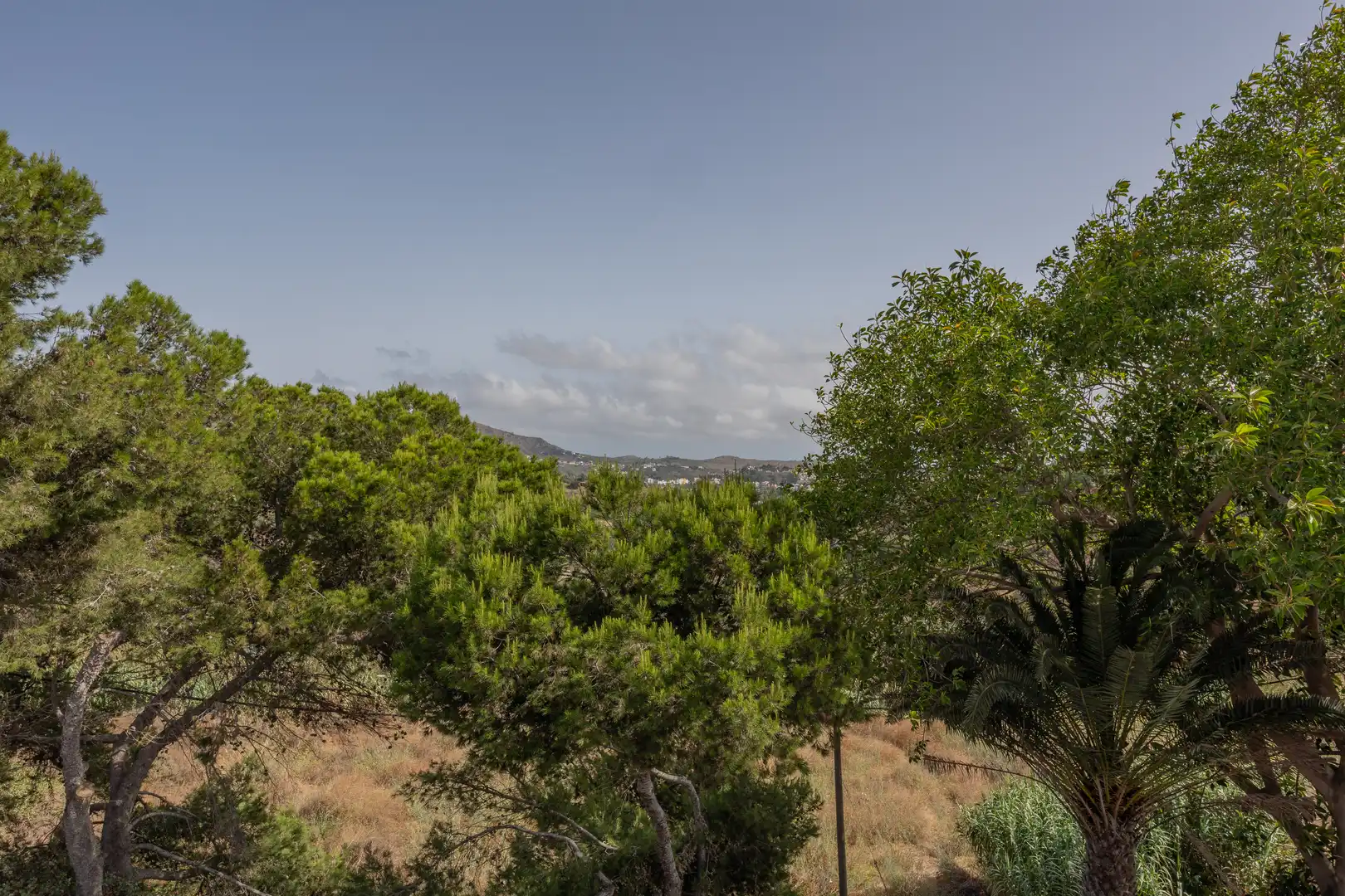 Xalet amb jardí en venda a Carretera a La Atalaya 140, imagen 44