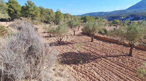 Venta de finca rustica para construir una vivienda unifamiliar u organizar un proyecto turístico