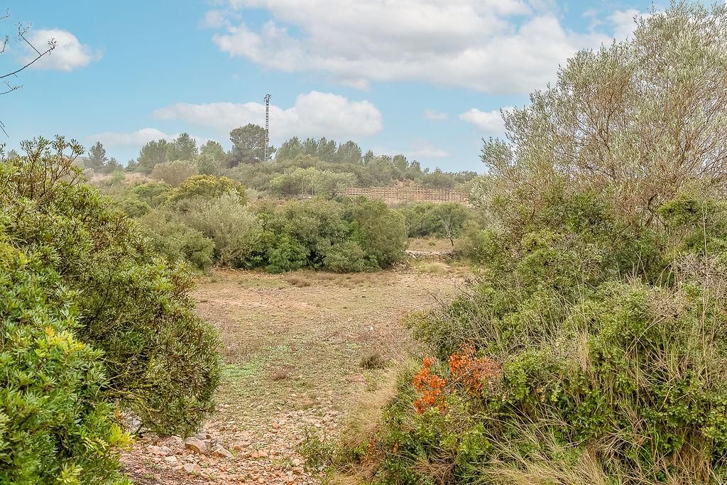 Grundstücke zum verkauf in Cheste