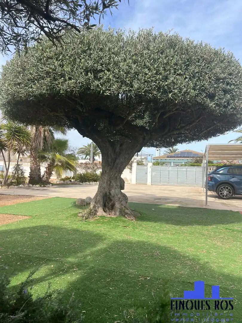 Jardín de Casa o chalet en venta en Vinaròs con Amueblado, Lavadora y Microondas