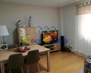 Sala d'estar de Pis de lloguer en Salamanca Capital amb Calefacció, Moblat i Forn