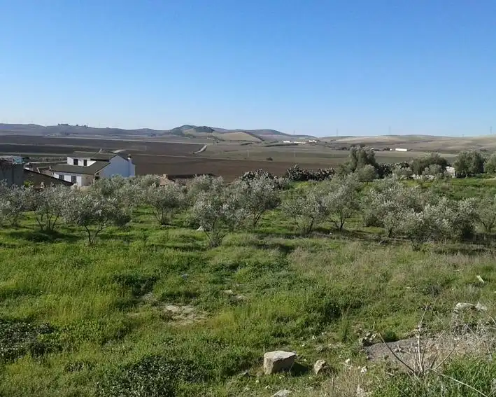 Terrenys i solars en venda a Espera, imagen 3