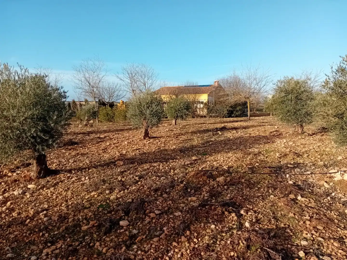Casa o chalet en venta en Carrión de Calatrava con Aire acondicionado, Calefacción y Terraza