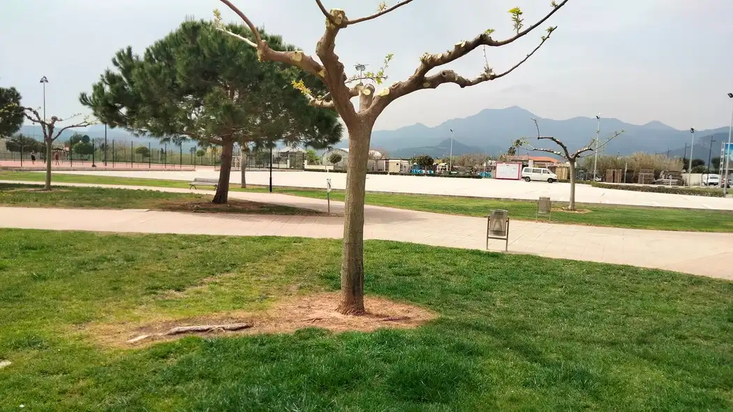 Aparcament de Apartament en venda en Xeraco amb Aire condicionat, Terrassa i Traster