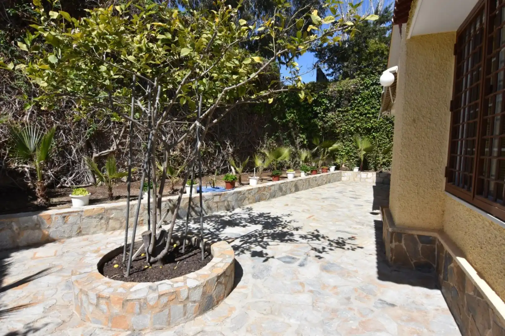 Jardín de Casa o chalet en venta en Mazarrón con Calefacción, Jardín privado y Terraza