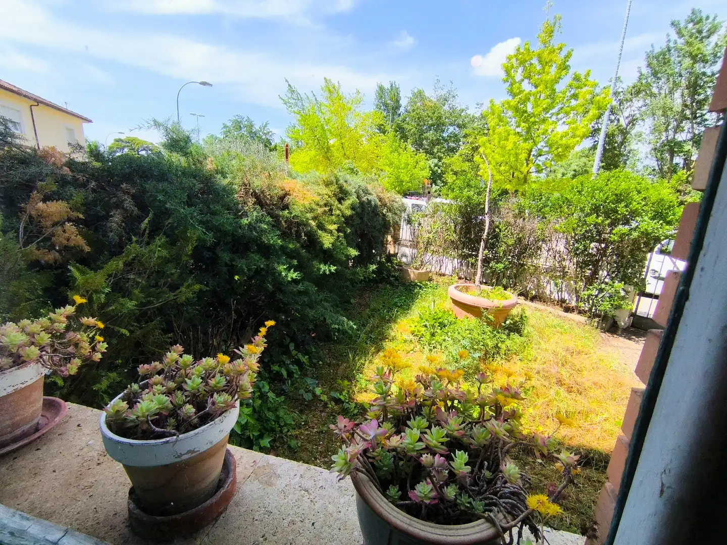 Jardí de Casa o xalet en venda en Palencia amb Calefacció, Jardí privat i Parquet