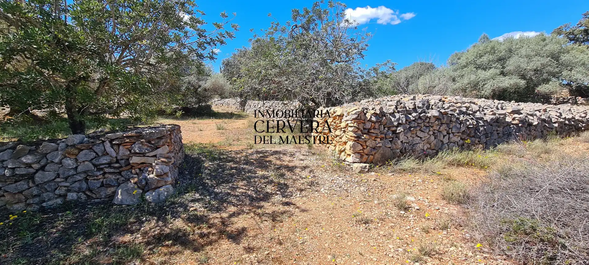 Terreno rustico in vendita a Cervera del Maestre, imagen 36