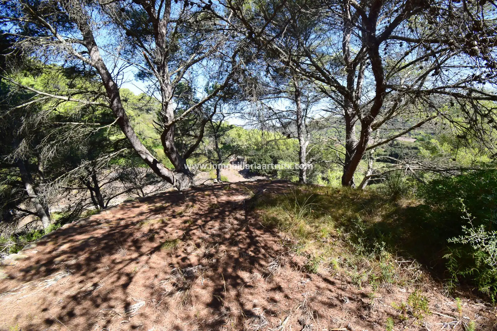 Finca rústica en venta en Ferreries con Jardín privado y Trastero