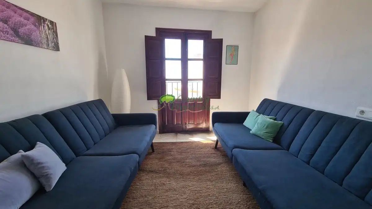 Sala de estar de Casa o chalet en venta en Canillas de Aceituno