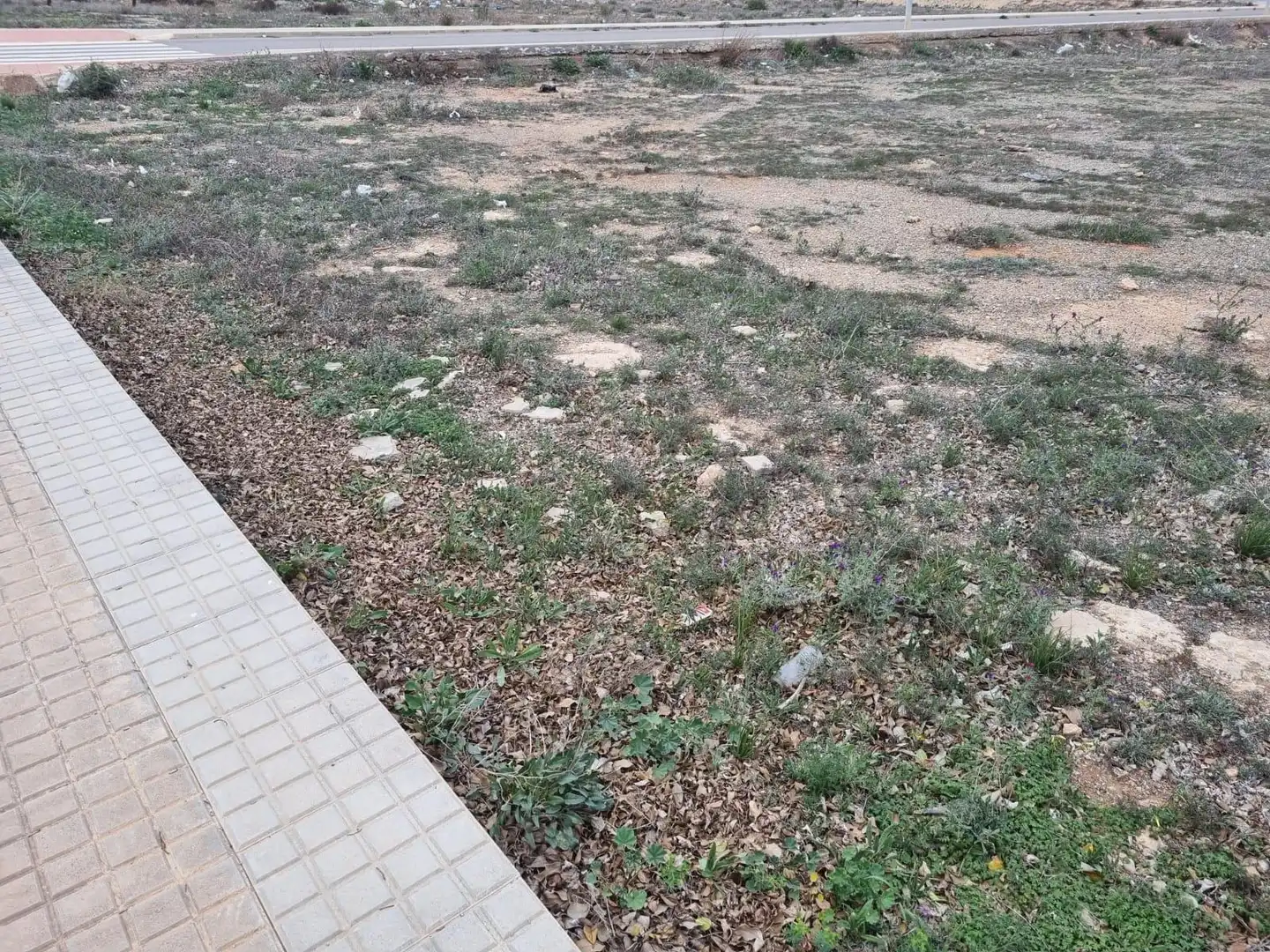 Terreny residencial en venda a El Ejido Ciudad, imagen 6