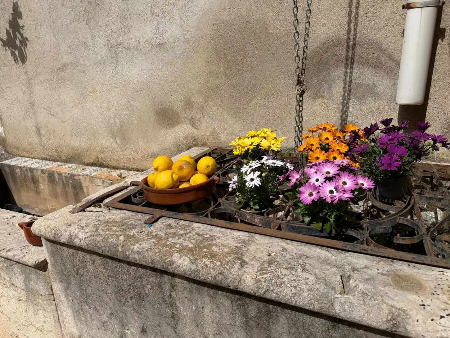 Jardí de Casa o xalet en venda en La Ràpita amb Aire condicionat i Traster