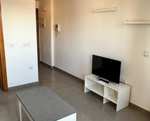 Living room of Study to rent in  Murcia Capital  with Air Conditioner, Storage room and Balcony