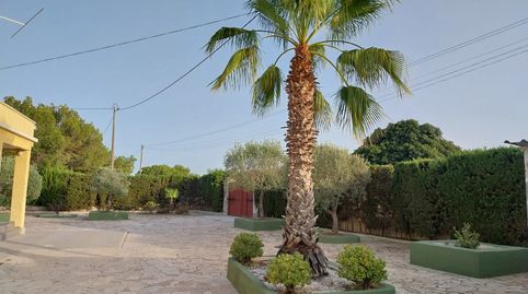 Photo 2 of Houses for sale in Perleta - Maitino, Elche / Elx