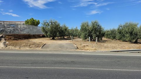 Finca en Pilas, immagine 2