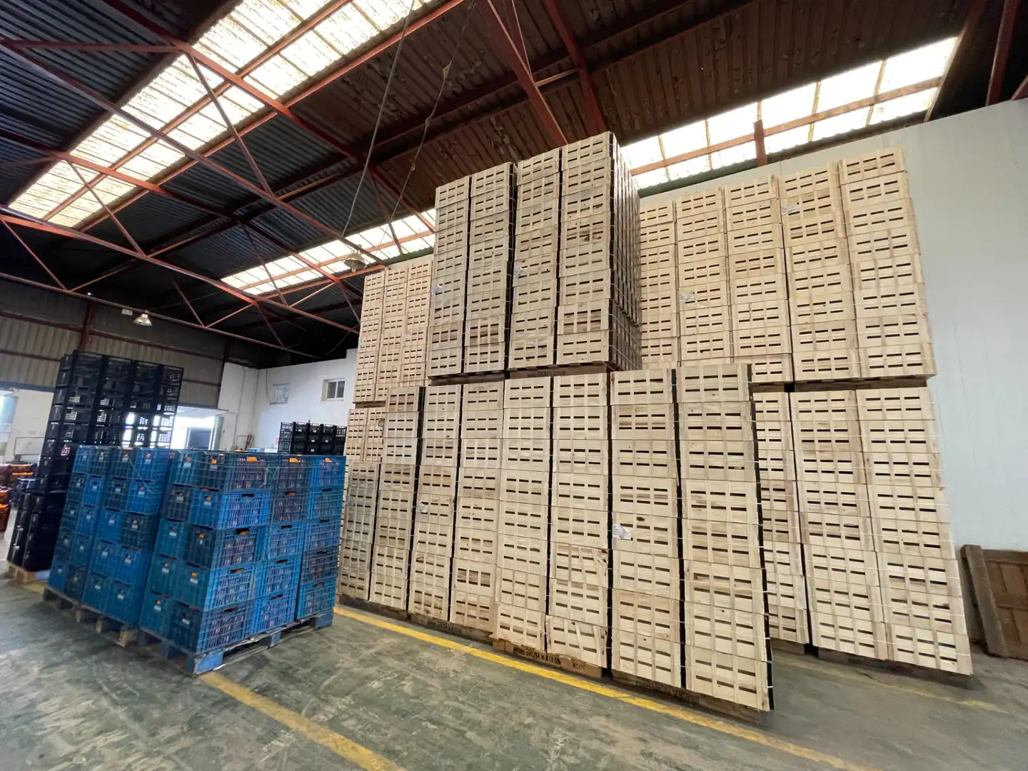 Nau industrial en venda a Carrer d'Algímia d'Alfara, 2, Na Rovella - Hermanos Maristas