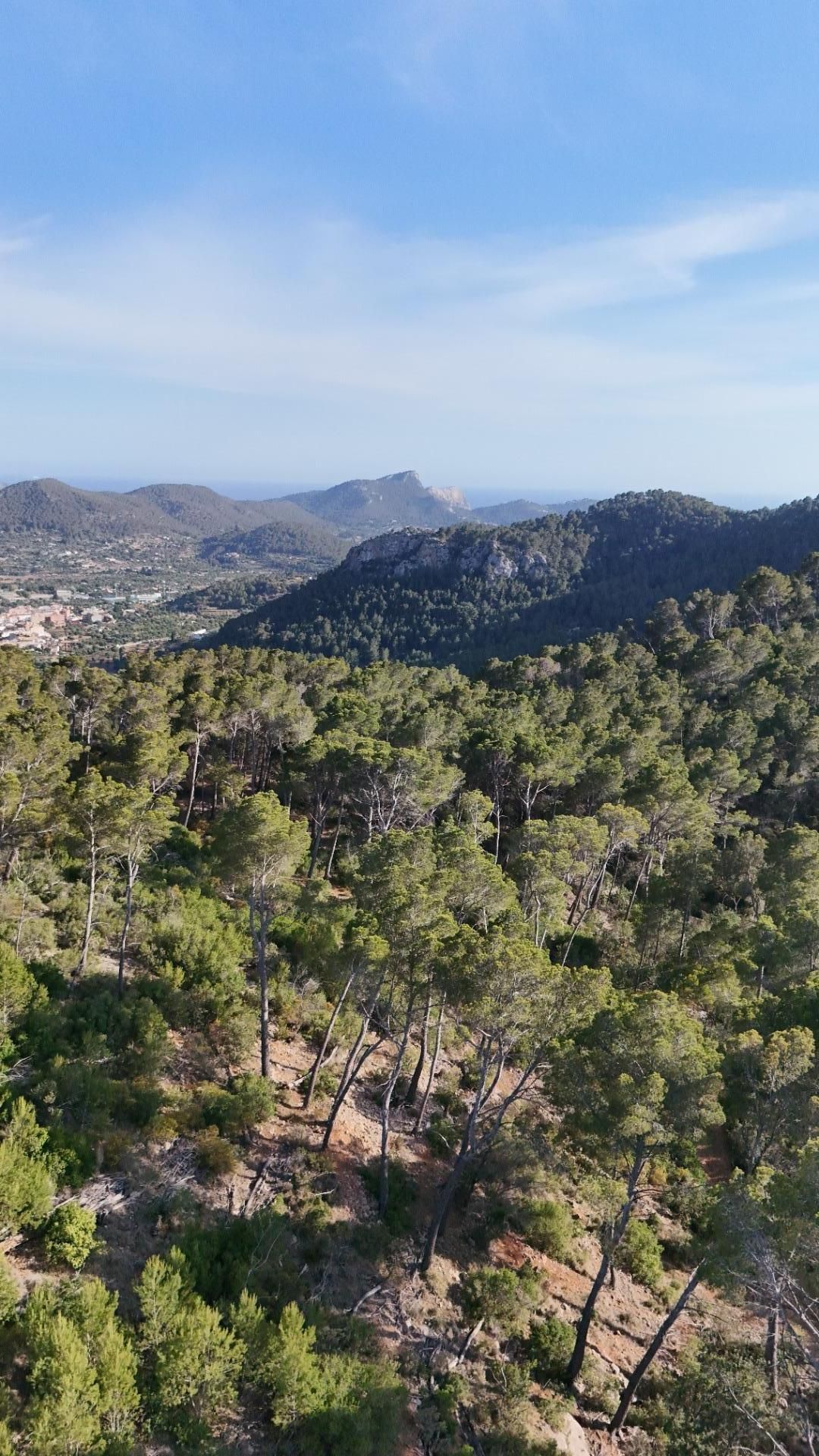 Exterior view of Land for sale in Andratx