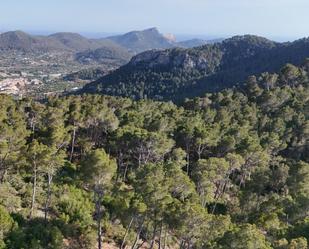 Exterior view of Land for sale in Andratx