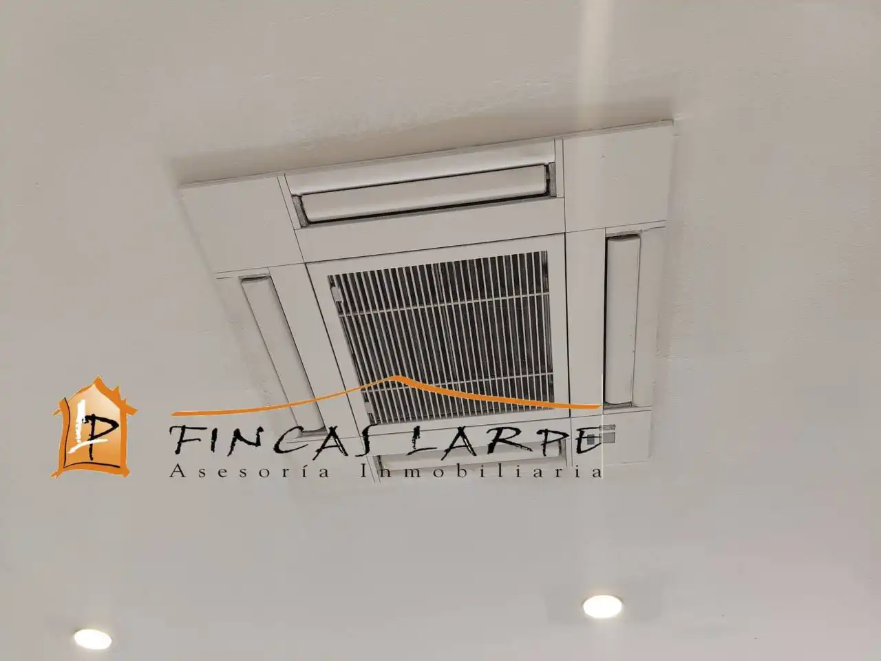 Local comercial en alquiler en Calle PUIG DEL RAVELL, imagen 6