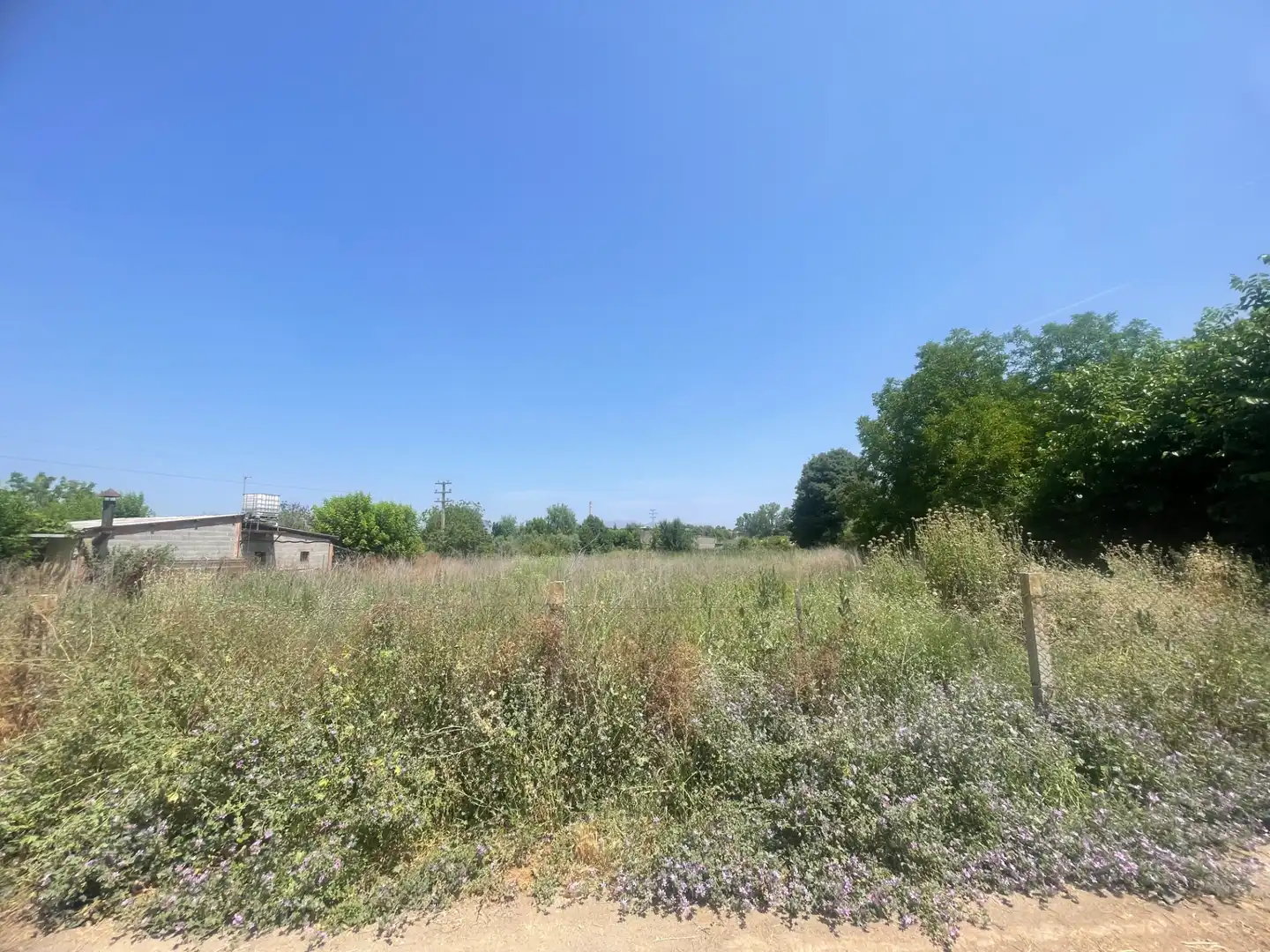 Rural land for sale in Balaguer, imagen 5