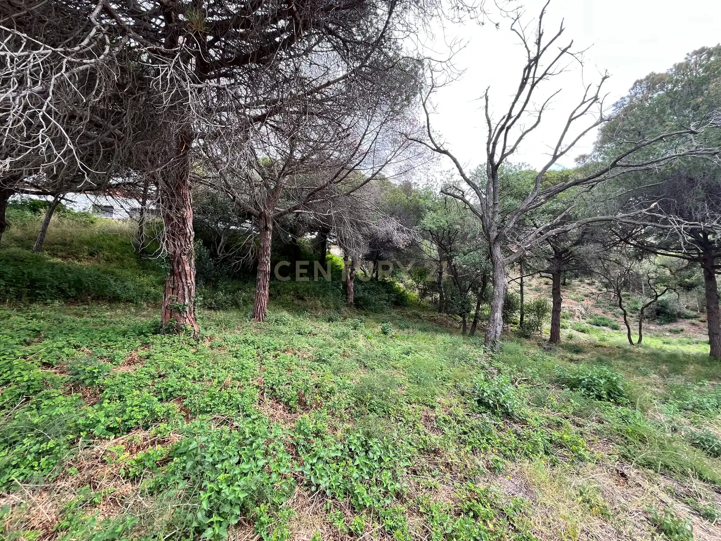 Residencial en venda en Mataró