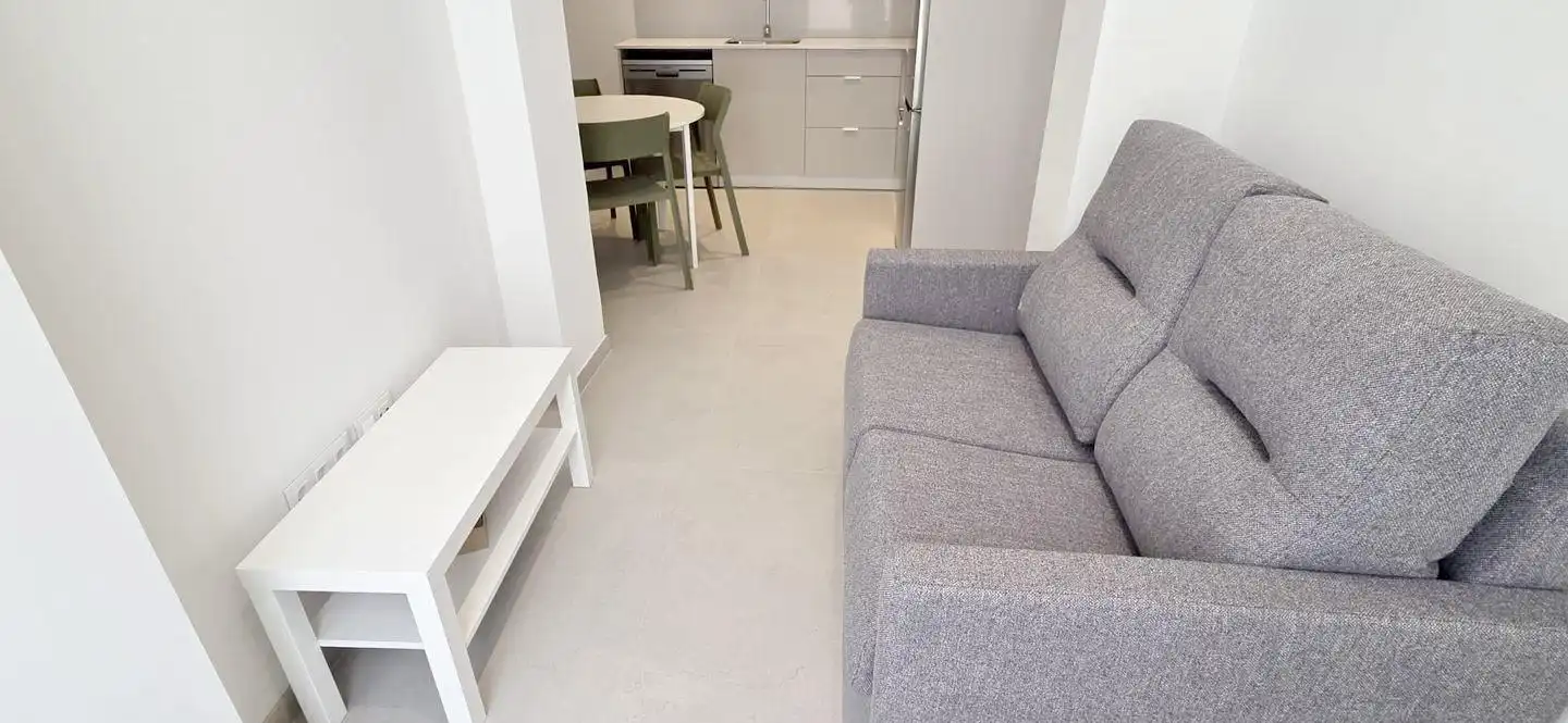 Living room of Ground floor for rent in Elche / Elx  with Air Conditioner and Furnished