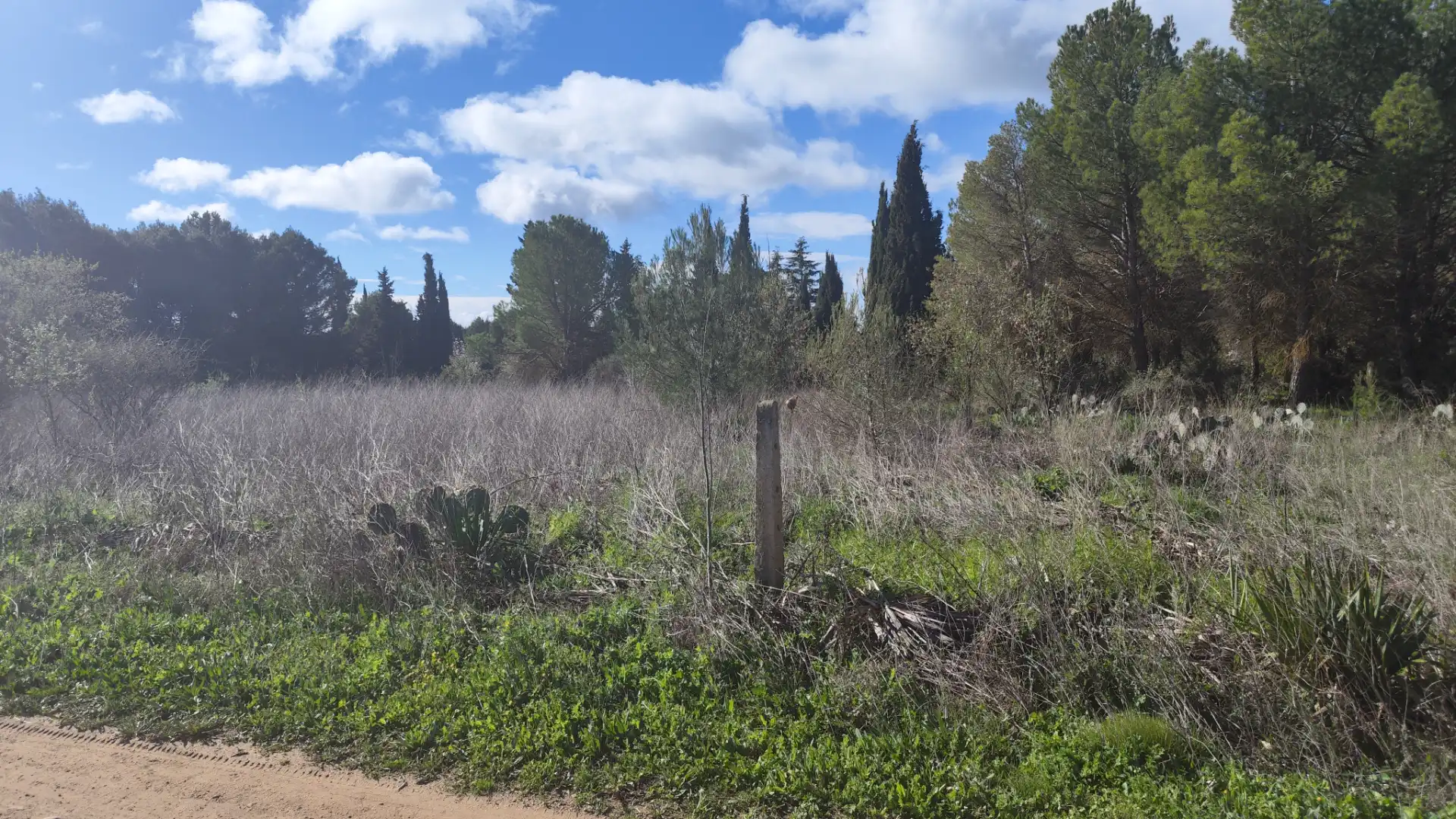 Terreni e lotti in vendita a Urbanización Viña del Romero 16, imagen 4