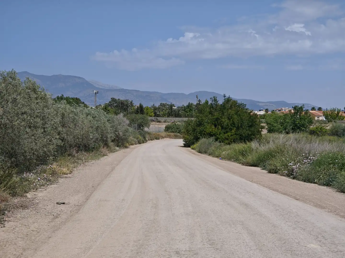 Terrenys i solars en venda a Totana