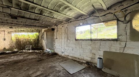 TERRENO AGRARIO CON NAVE Y VIVIENDA, image 5