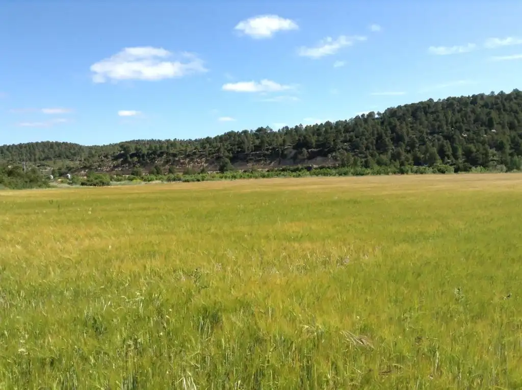 Terreni e lotti in vendita a Arens de Lledó, imagen 6