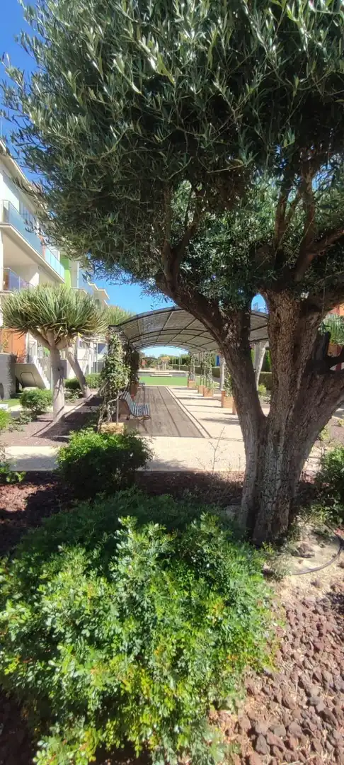 Terrassa de Apartament en venda en Orihuela amb Aire condicionat, Calefacció i Jardí privat