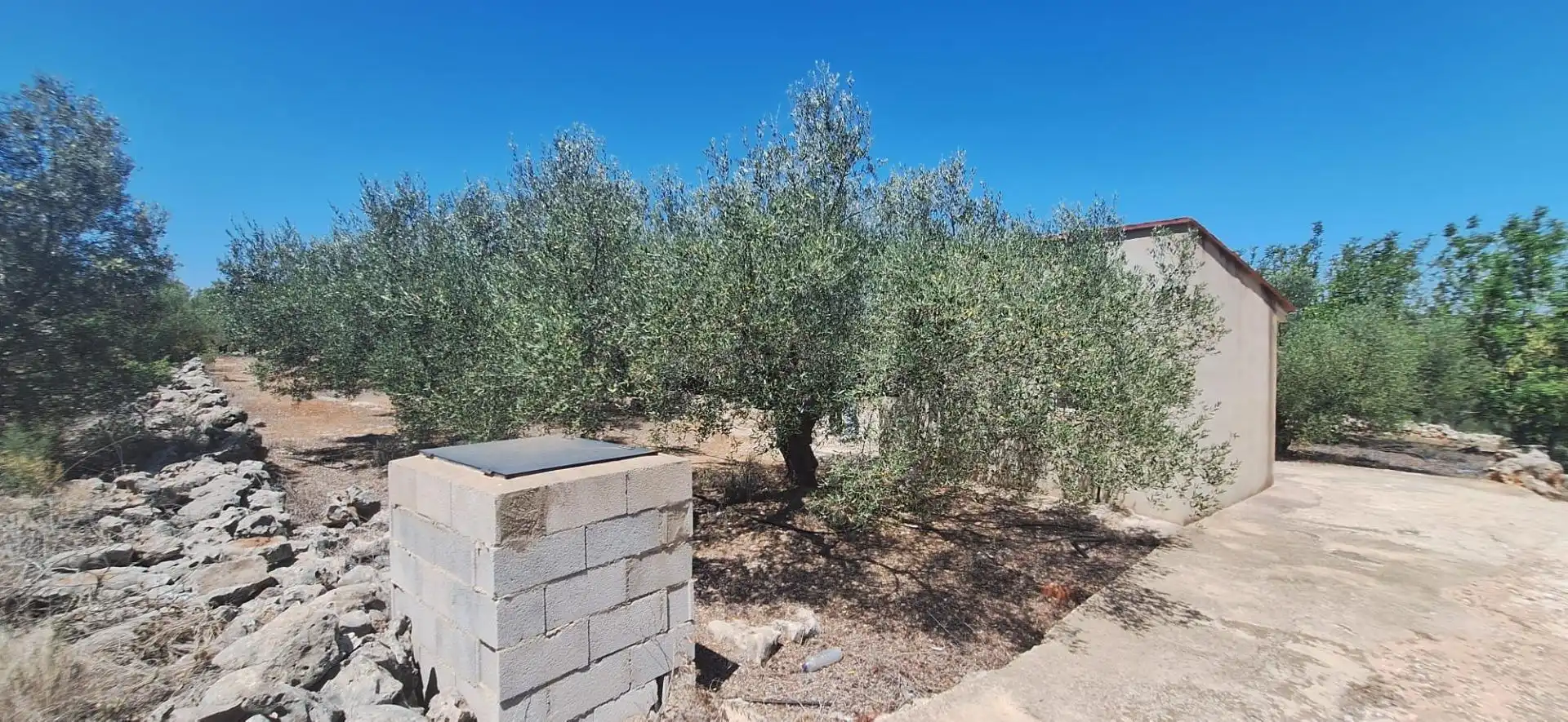 Terrain résidentiel à vendre à Chella, imagen 6