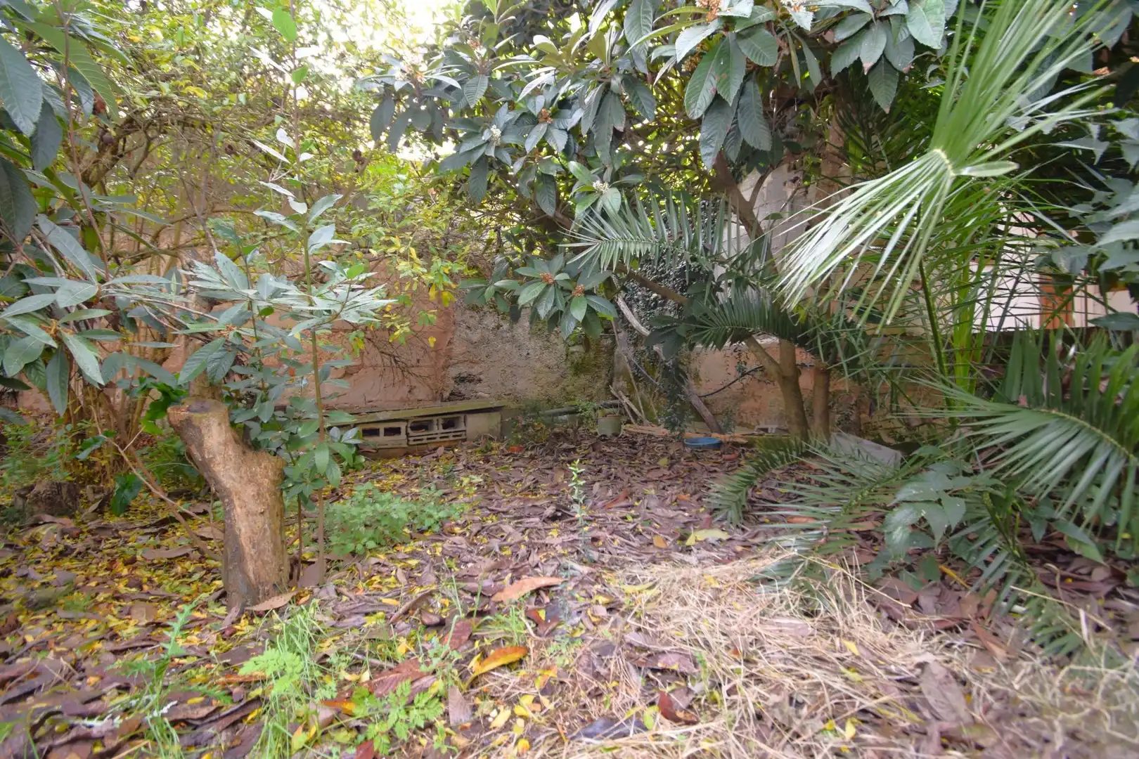 House with garden for sale in Calle Major 35, imagen 38