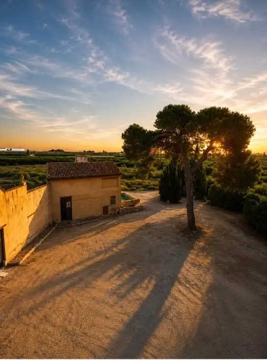 Vista exterior de Finca rústica en venta en Oliva