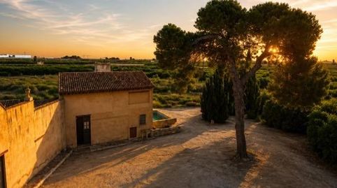 Foto 5 de Finca rústica en venta en Oliva pueblo, Oliva