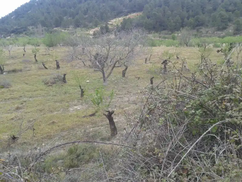 Lands and plots for sale in C/ Las Lagunas, imagen 7