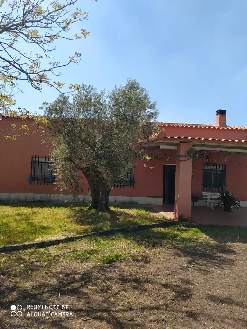 Vista exterior de Casa o xalet en venda en Villamayor de Calatrava amb Jardí privat, Traster i Piscina